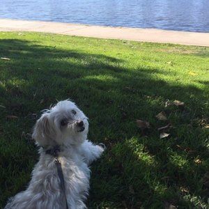 Meet your Posher, Mimmy